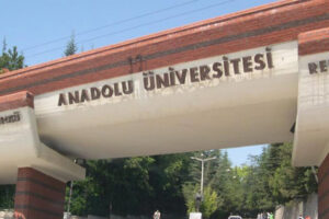 Read more about the article Anadolu Üniversitesi Yetenek Sınavlarında Çıkmış Sorular
